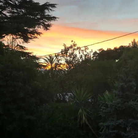 Amazing Center * Канны